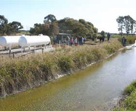 Cornalla Farm Tour - Redcliffe Tourism 0
