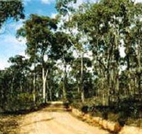 Paddys Ranges State Park - Redcliffe Tourism