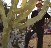 Cactus Country - Redcliffe Tourism