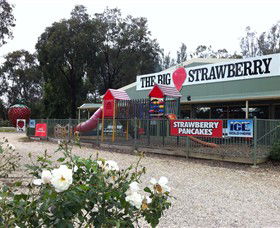 Cobram East VIC Redcliffe Tourism
