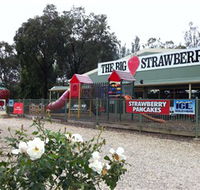 The Big Strawberry - Redcliffe Tourism
