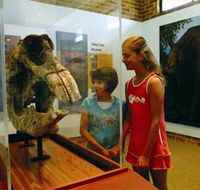 Australian Museum Diprotodon Exhibition - Redcliffe Tourism