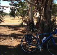 Murchison Rail Trail - Redcliffe Tourism