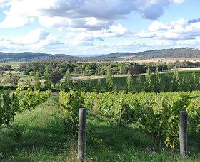 Sassy Wines - Redcliffe Tourism 0