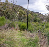 Lynchs loop trail - Redcliffe Tourism