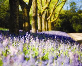 Duneira, Mt Macedon - Redcliffe Tourism 4