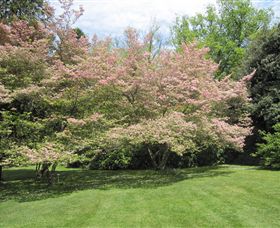 Duneira, Mt Macedon - Redcliffe Tourism 7