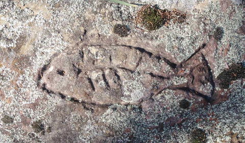 Terry Hie Hie Aboriginal Area - Redcliffe Tourism 3