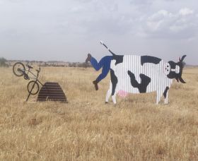 Animals On Bikes - Redcliffe Tourism 1