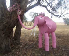 Animals On Bikes - Redcliffe Tourism 2