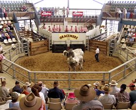 Gracemere Exhibition Complex - Redcliffe Tourism 1