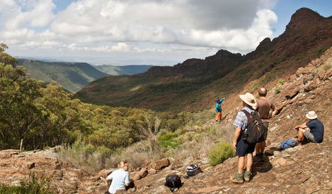 Yulludunida Walking Track - Redcliffe Tourism 0