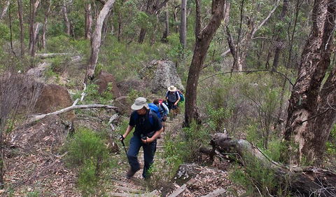 Yulludunida Walking Track - Redcliffe Tourism 3