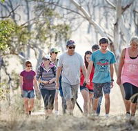 Winton Wetlands Reserve - Redcliffe Tourism