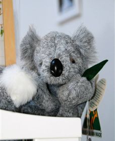 Timboon Toybox - Redcliffe Tourism 1