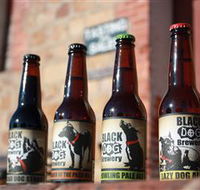 Black Dog Brewery - Redcliffe Tourism