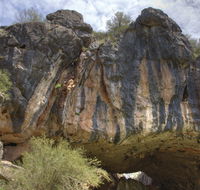 Borenore Karst Conservation Reserve - Redcliffe Tourism