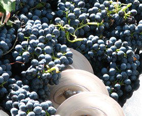 Orange Mountain Wines - Redcliffe Tourism 2