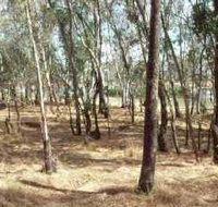 Chiltern-Mt Pilot National Park - Redcliffe Tourism