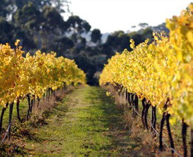 Otway Estate - Redcliffe Tourism 6