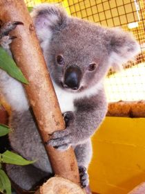  Redcliffe Tourism