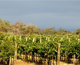 Amulet Vineyard And Beechworth Cider - Redcliffe Tourism 7