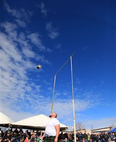 Amulet Vineyard And Beechworth Cider - Redcliffe Tourism 6