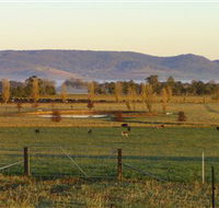 Holbrook Landcare Self-Drive Eco Tour - Redcliffe Tourism