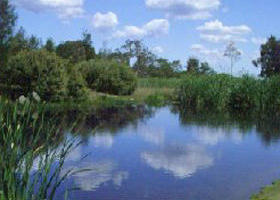 Yan Yean Reservoir Park - Redcliffe Tourism 0