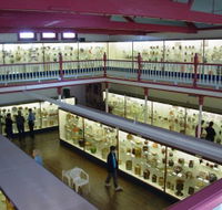National Museum of Australian Pottery - Redcliffe Tourism