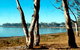 Lake Broadwater Conservation Park - thumb 0
