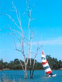 Lake Broadwater Conservation Park - Redcliffe Tourism 2