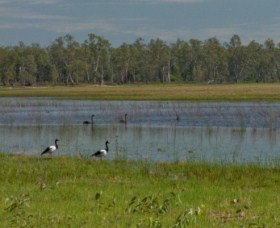 Lake Broadwater Conservation Park - Redcliffe Tourism 1