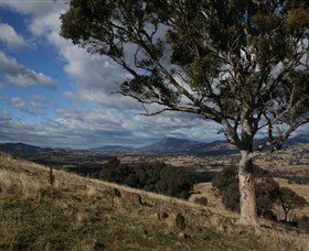 Urambi Hills - Redcliffe Tourism 0