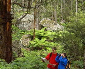 Centennial Glen - Redcliffe Tourism 0