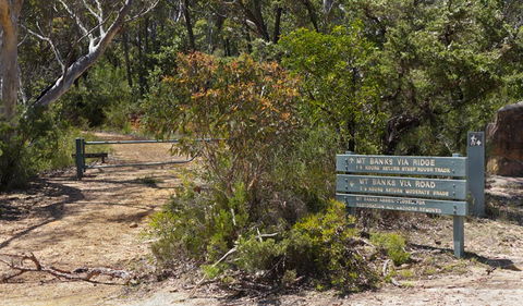 Mount Banks Road Cycle Route - Redcliffe Tourism 1