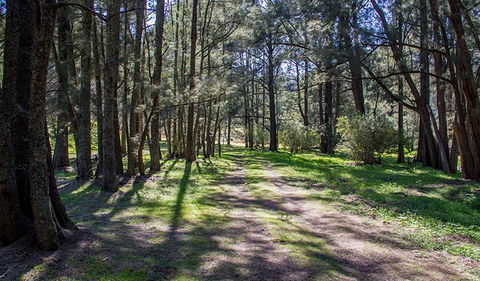 Wombeyan Waterfall Walking Track - Redcliffe Tourism 0