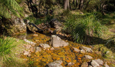 Wombeyan Waterfall Walking Track - Redcliffe Tourism 1