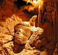 Fig Tree Cave - Redcliffe Tourism