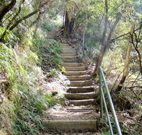 Nature track - Redcliffe Tourism