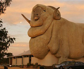 Big Merino - Redcliffe Tourism 3