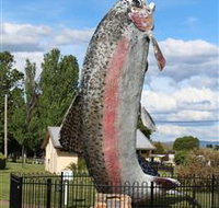Big Trout - Redcliffe Tourism