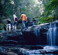 South Lawson Waterfall Circuit - Redcliffe Tourism