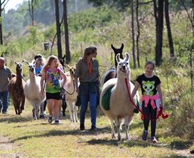 Lower Cressbrook QLD Redcliffe Tourism