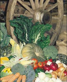 Mulgowie Real Farmers Markets - Redcliffe Tourism 0