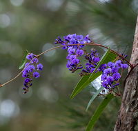 Mann River Nature Reserve - Redcliffe Tourism