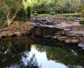 Bundaberg Botanic Gardens And Playground - Redcliffe Tourism 1