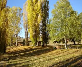 Gaden Trout Hatchery - Redcliffe Tourism 1