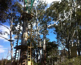 Trees Adventure Grose River Park - Redcliffe Tourism 1