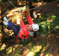 Trees Adventure Grose River Park - Redcliffe Tourism
